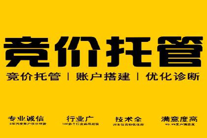 谷歌SEM与SEO结合：某品牌关键词排名快速提升案例